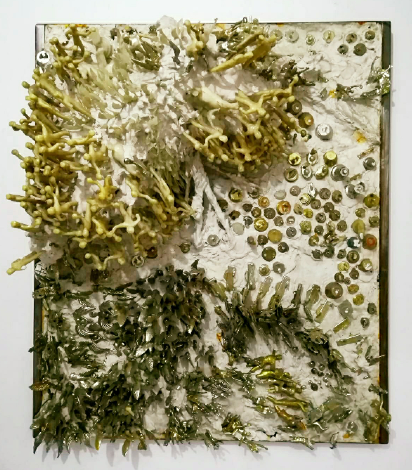 Coral Social