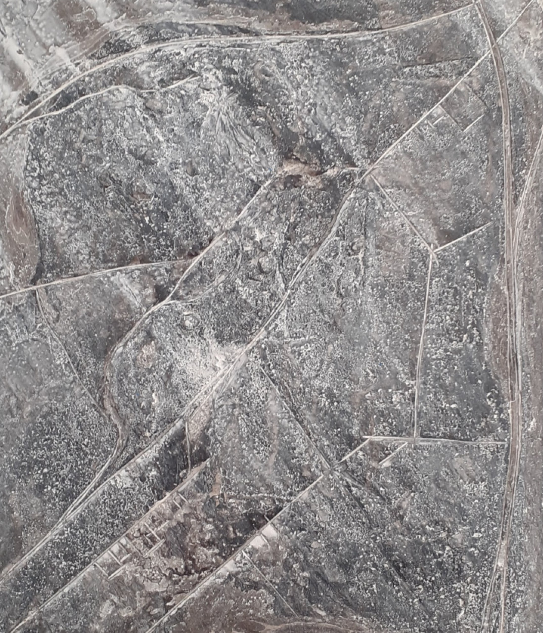 Nazca 2